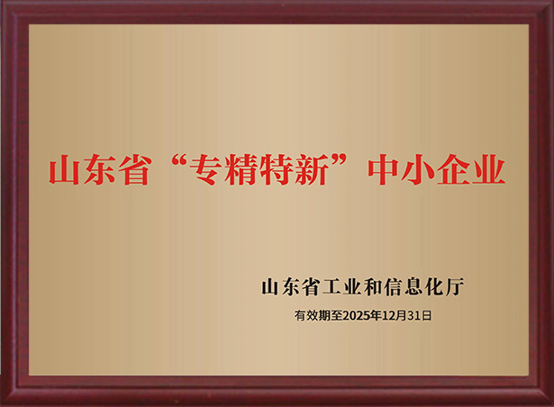 Shandong Provincial 